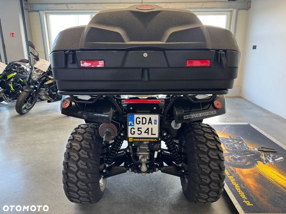 Kawasaki Brute Force - 38