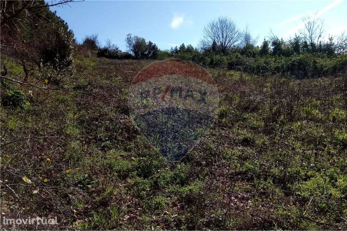 Terreno no Ameal,Taveiro - Grande imagem: 2/6