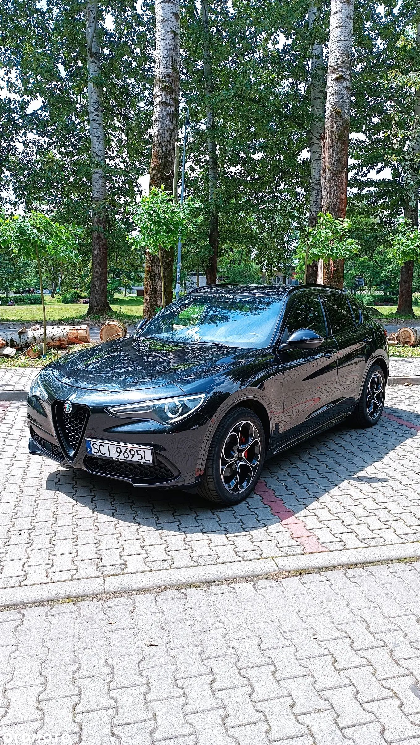 Alfa Romeo Stelvio 2.0 Turbo Veloce Q4 - 1