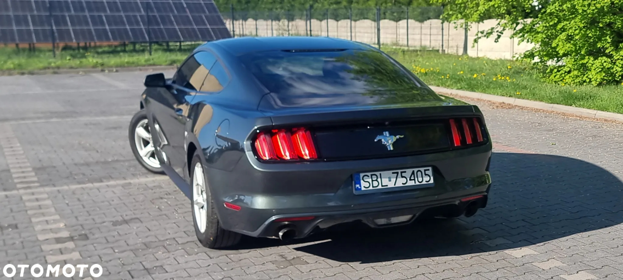 Ford Mustang - 5