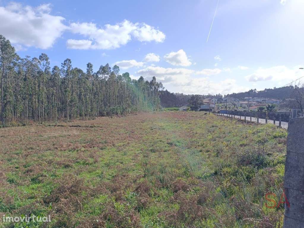 Terreno com 10.796m2 de área total localizado em Barcelos, em Igrej... - Grande imagem: 4/16