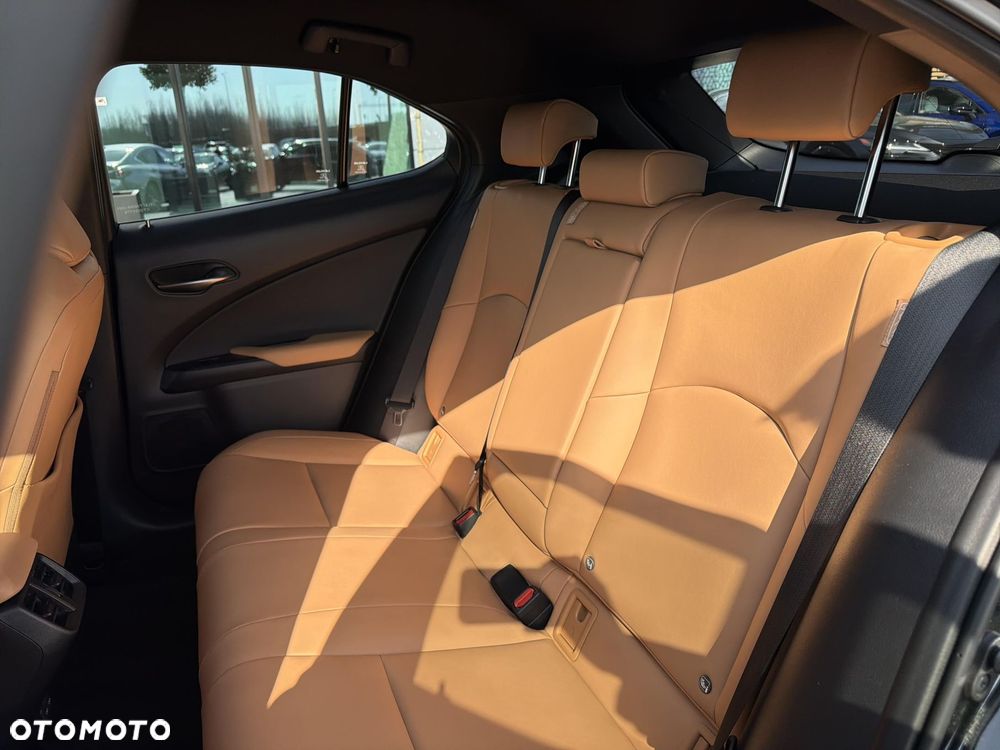Lexus UX 250h GPF F Sport Design 2WD - 14
