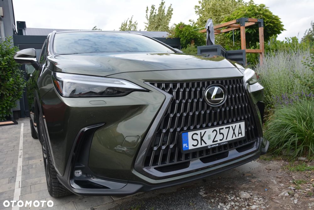 Lexus NX - 31