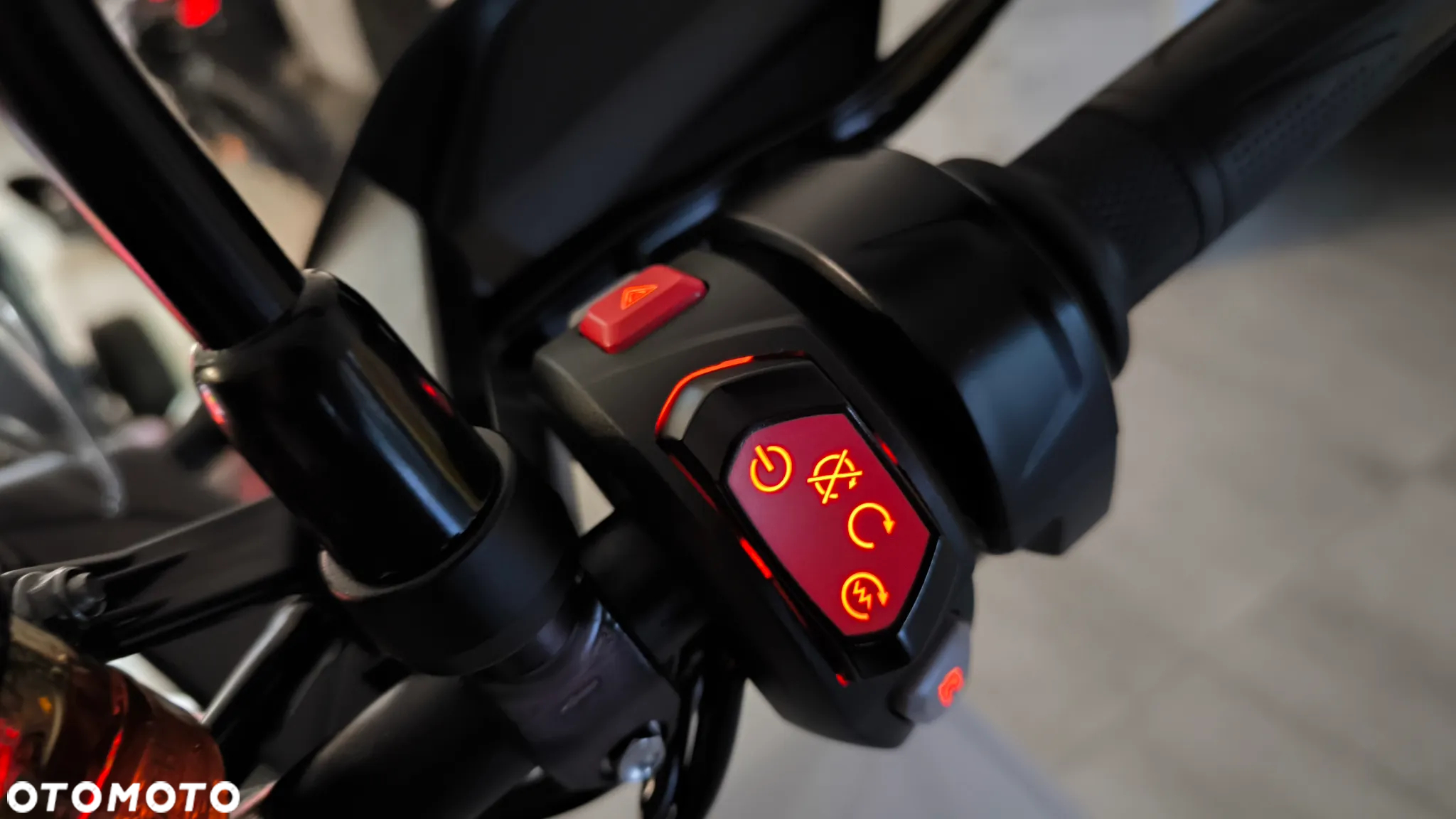 Triumph Tiger - 37