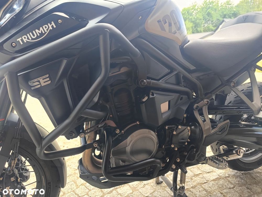 Triumph Inny - 21