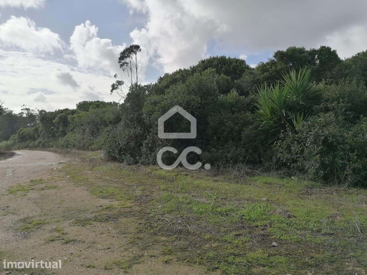 Terreno Rústico de 6.960 m² na Usseira, Óbidos - Grande imagem: 2/7