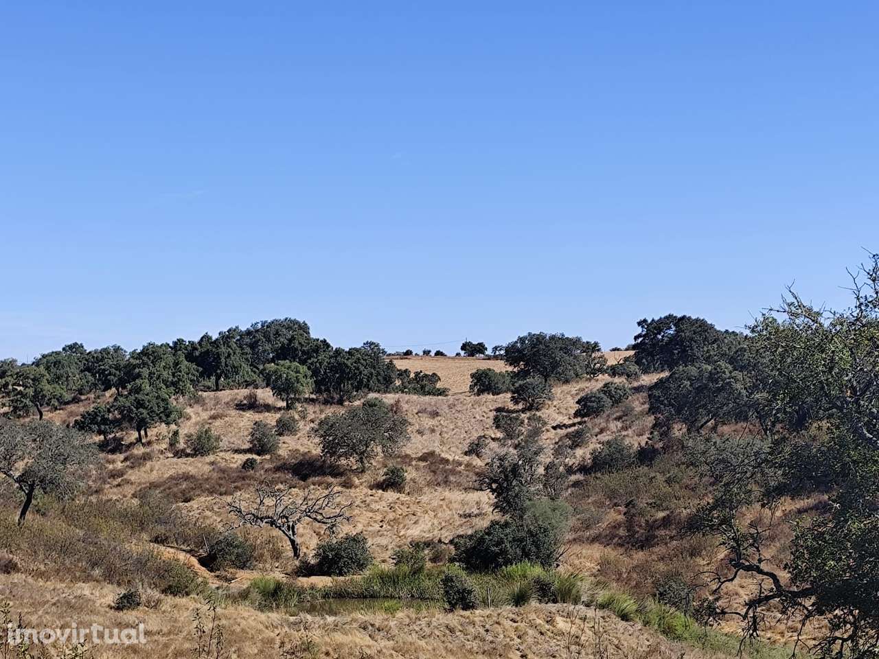 Terreno , Vale de cadeirinhas, Serpa - Grande imagem: 5/11