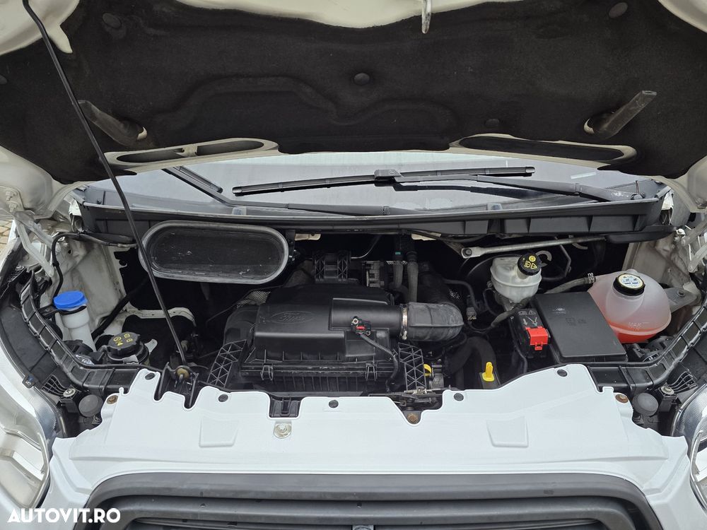 Ford Transit - 4