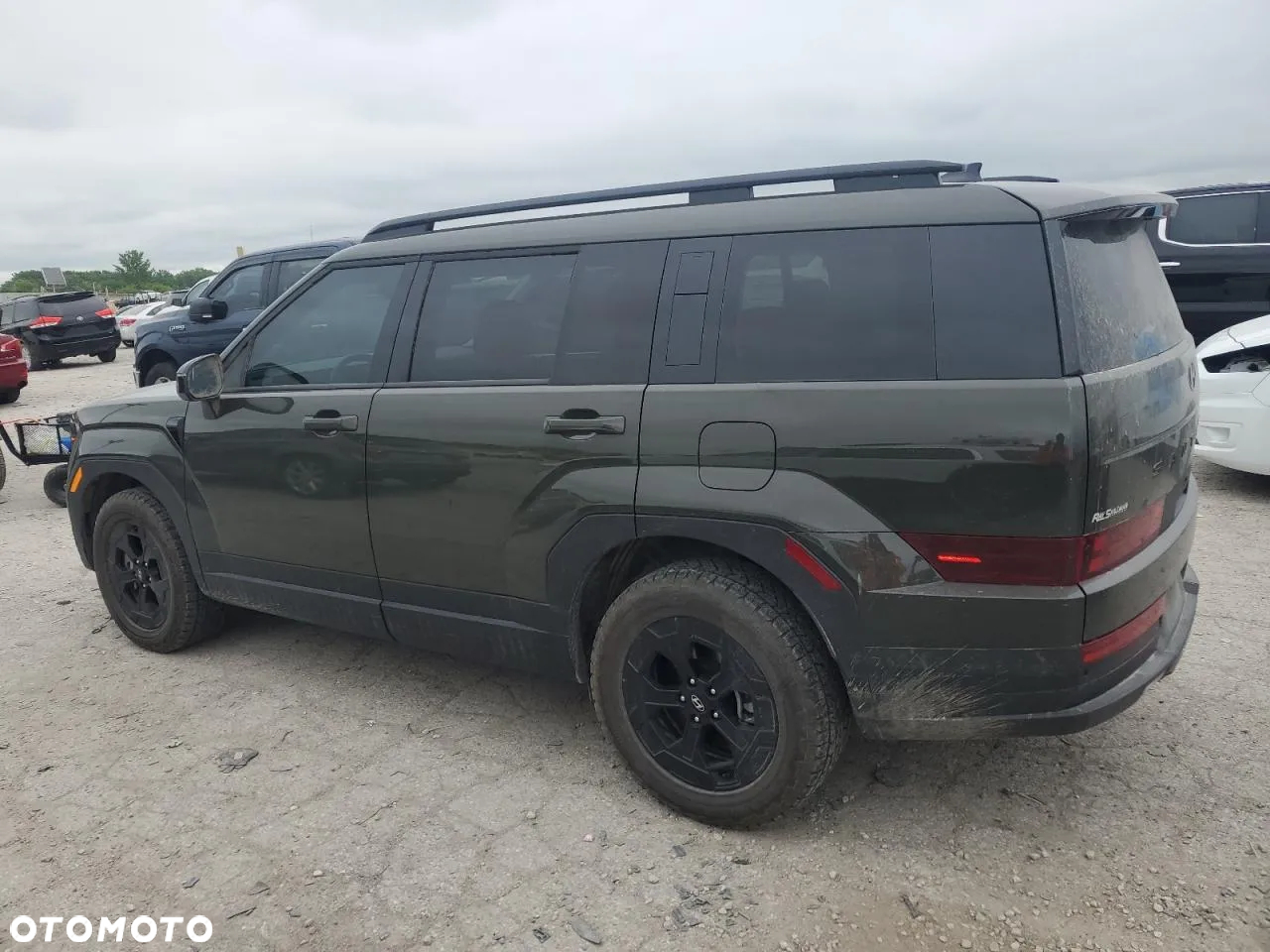 Hyundai Santa Fe - 3