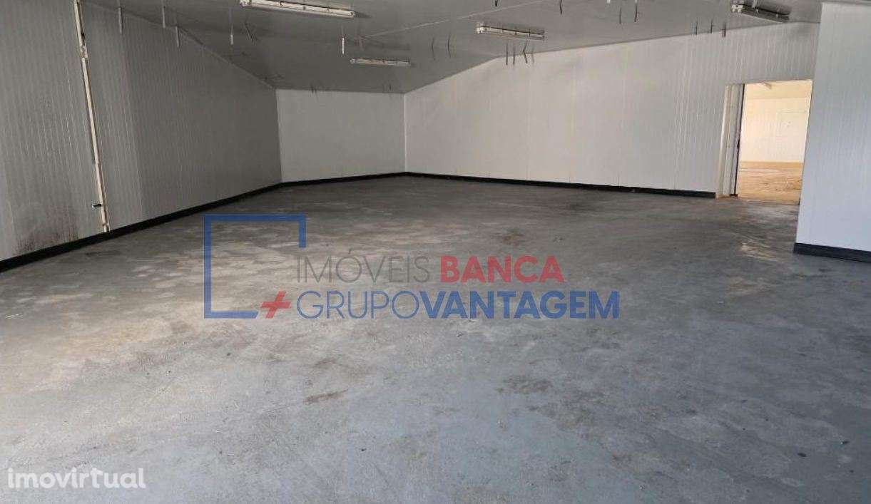 ARMAZEM INDUSTRIAL  - TRANCOSO - Grande imagem: 3/21