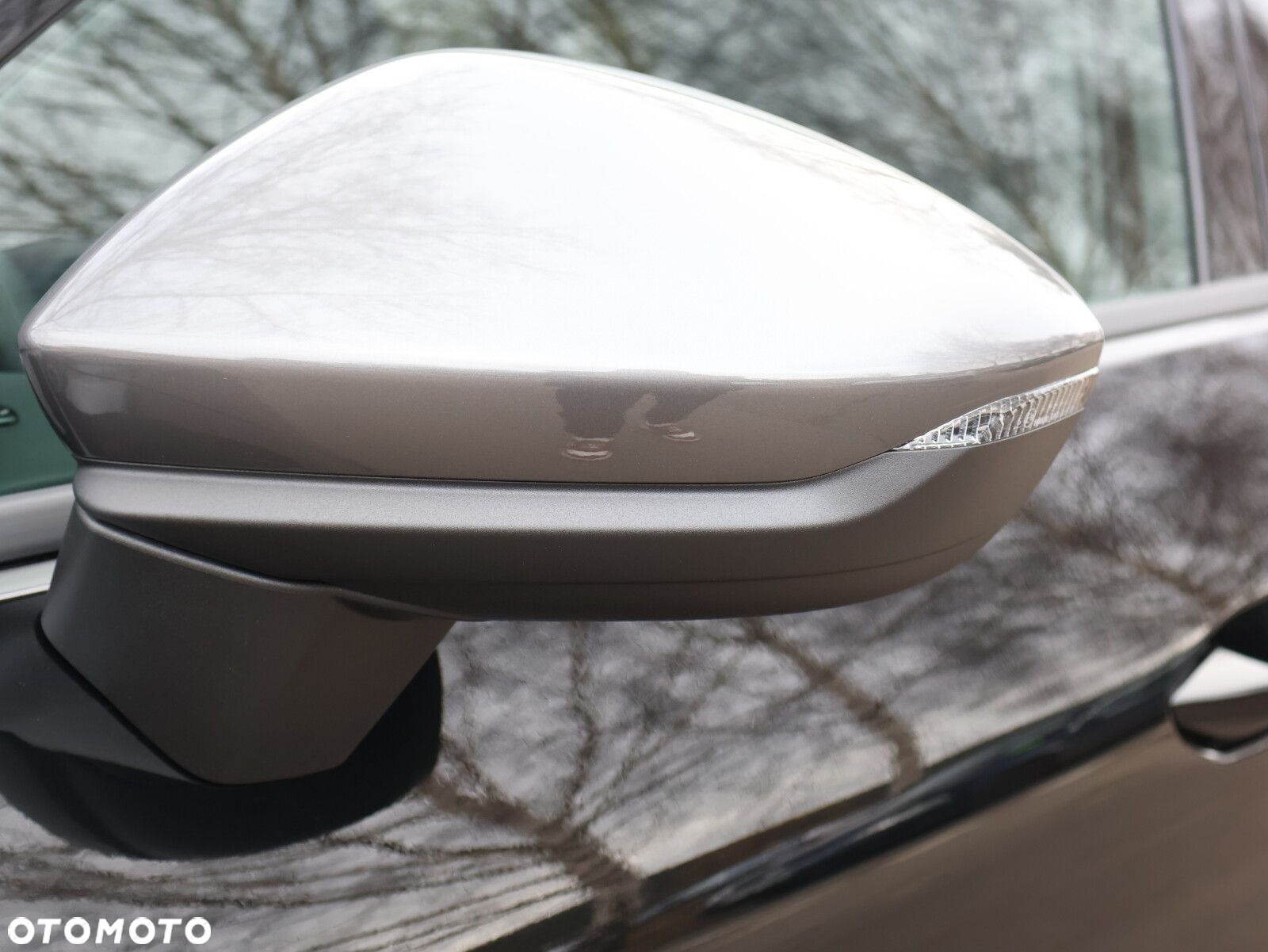 Cupra Terramar 1.5 eTSI mHEV DSG - 5