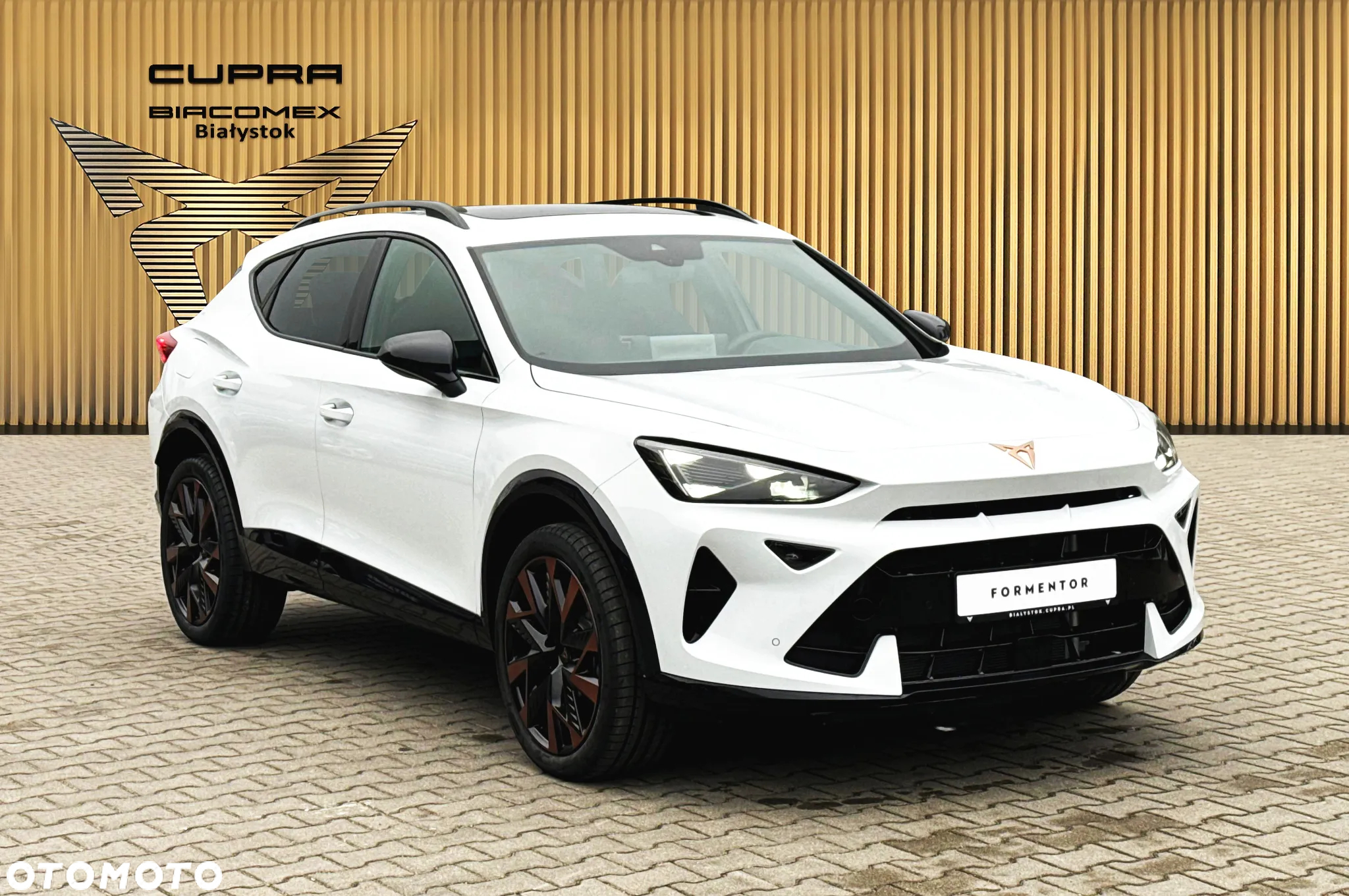 Cupra Formentor 1.5 TSI DSG - 8