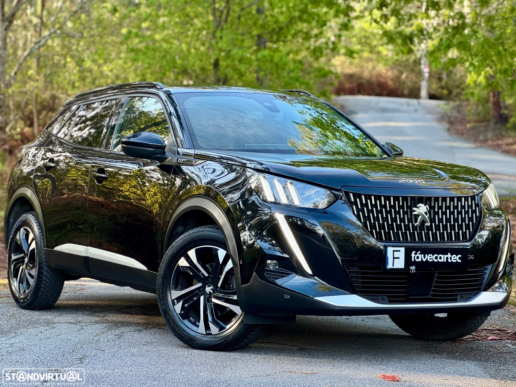 Peugeot 2008 1.2 PureTech GT - 17
