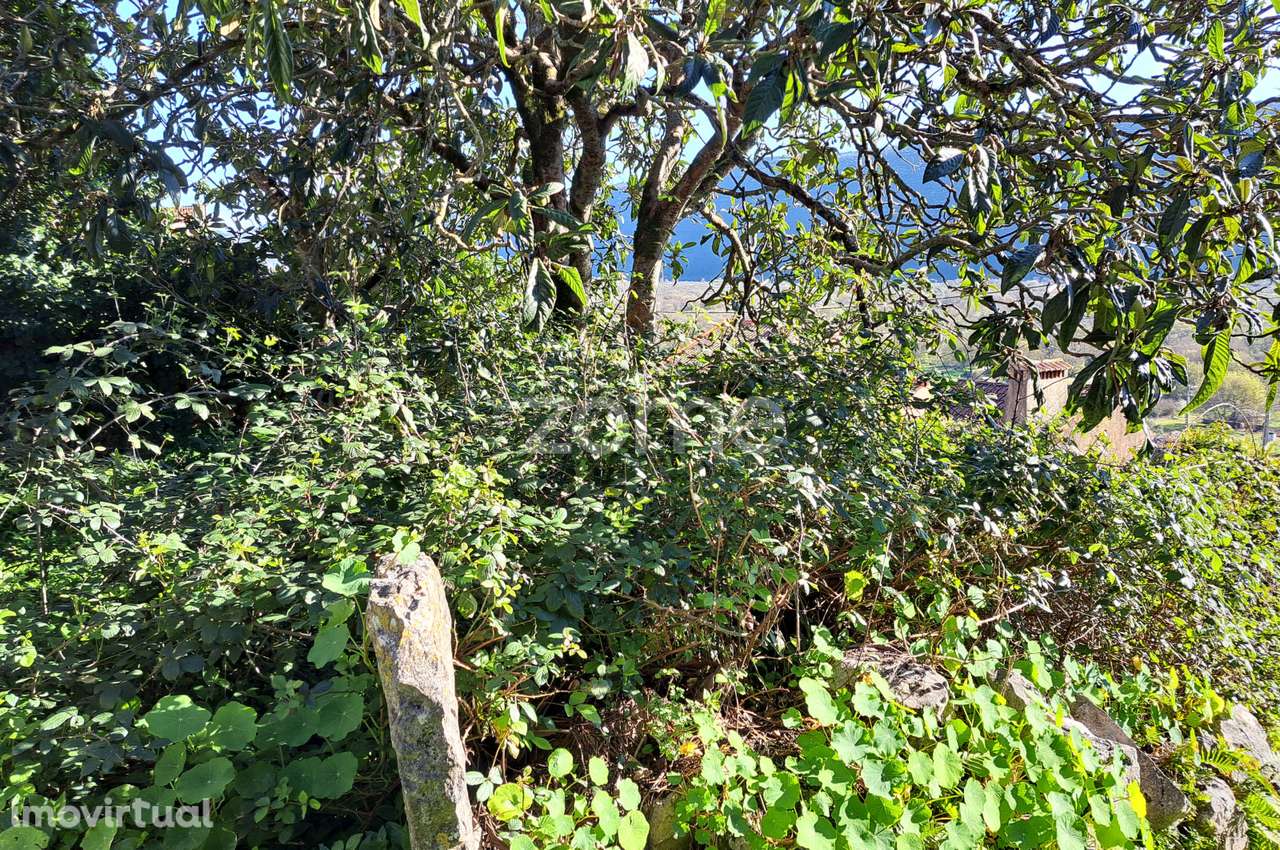 Terreno Urbano com Ruína em Mira de Aire - Grande imagem: 4/23