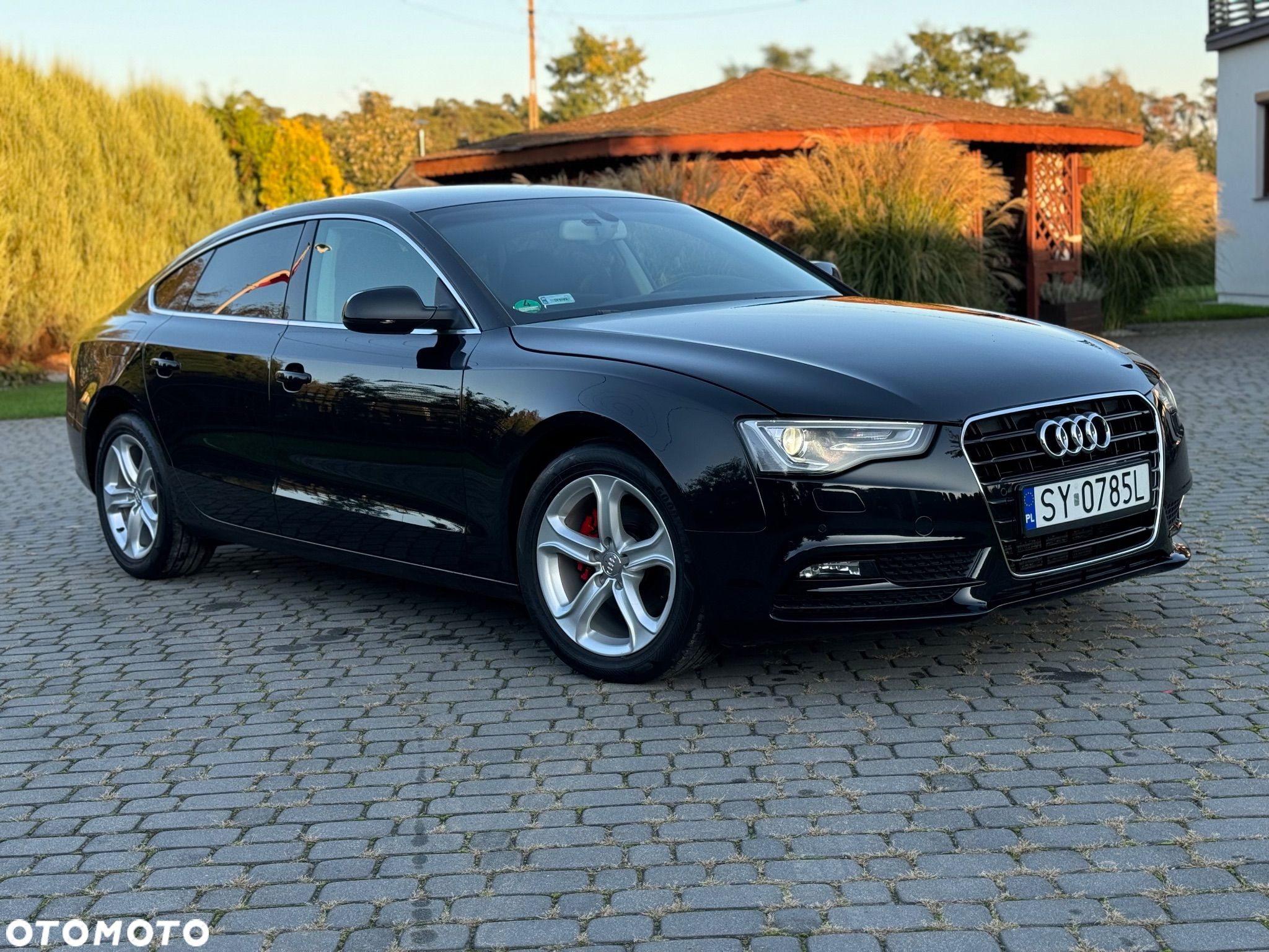 Audi A5 2.0 TDI Multitronic - 1