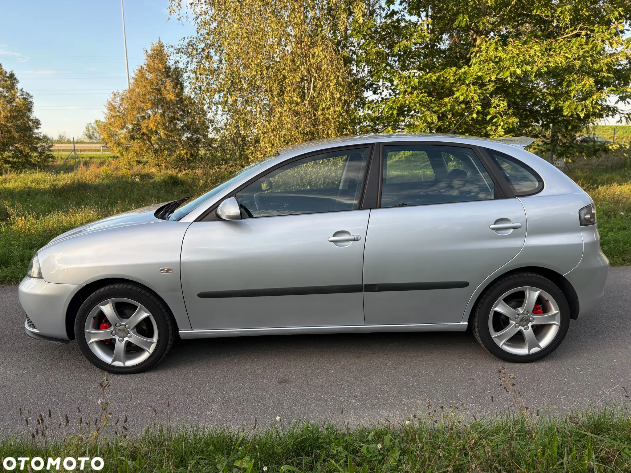 Seat Ibiza 1.4 16V Sport - 2
