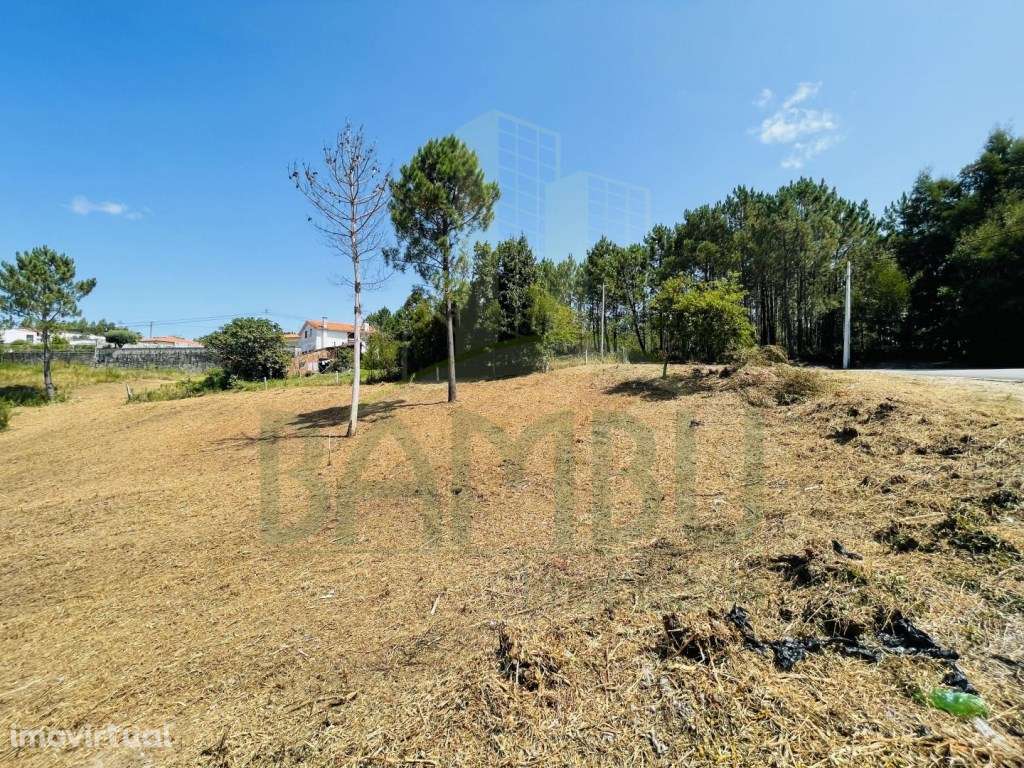 Lote de Terreno Urbano com 1022m², em Seixas. - Grande imagem: 3/9