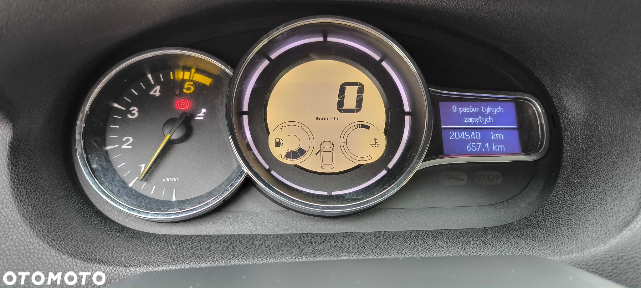Renault Megane - 19