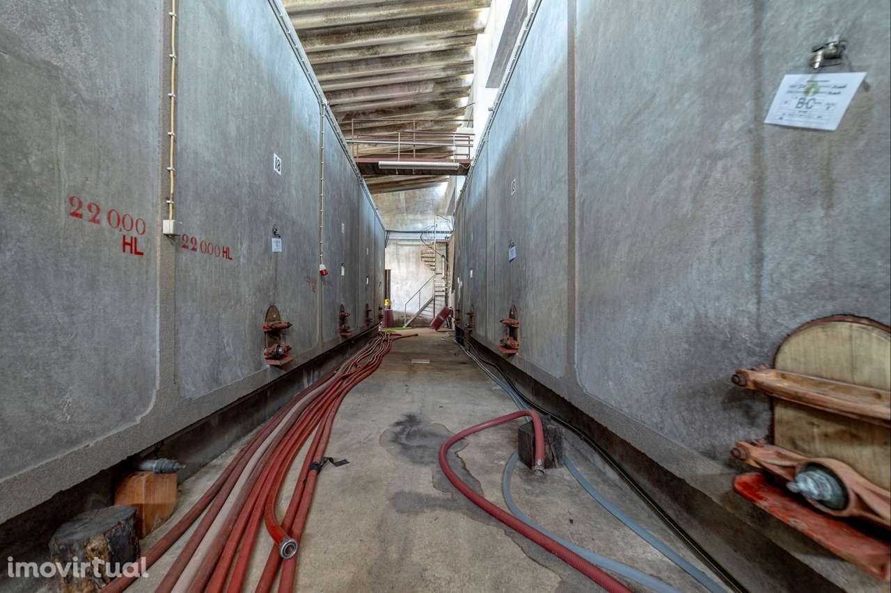 Armazém T1 Venda em Fazendas de Almeirim,Almeirim - Grande imagem: 4/46