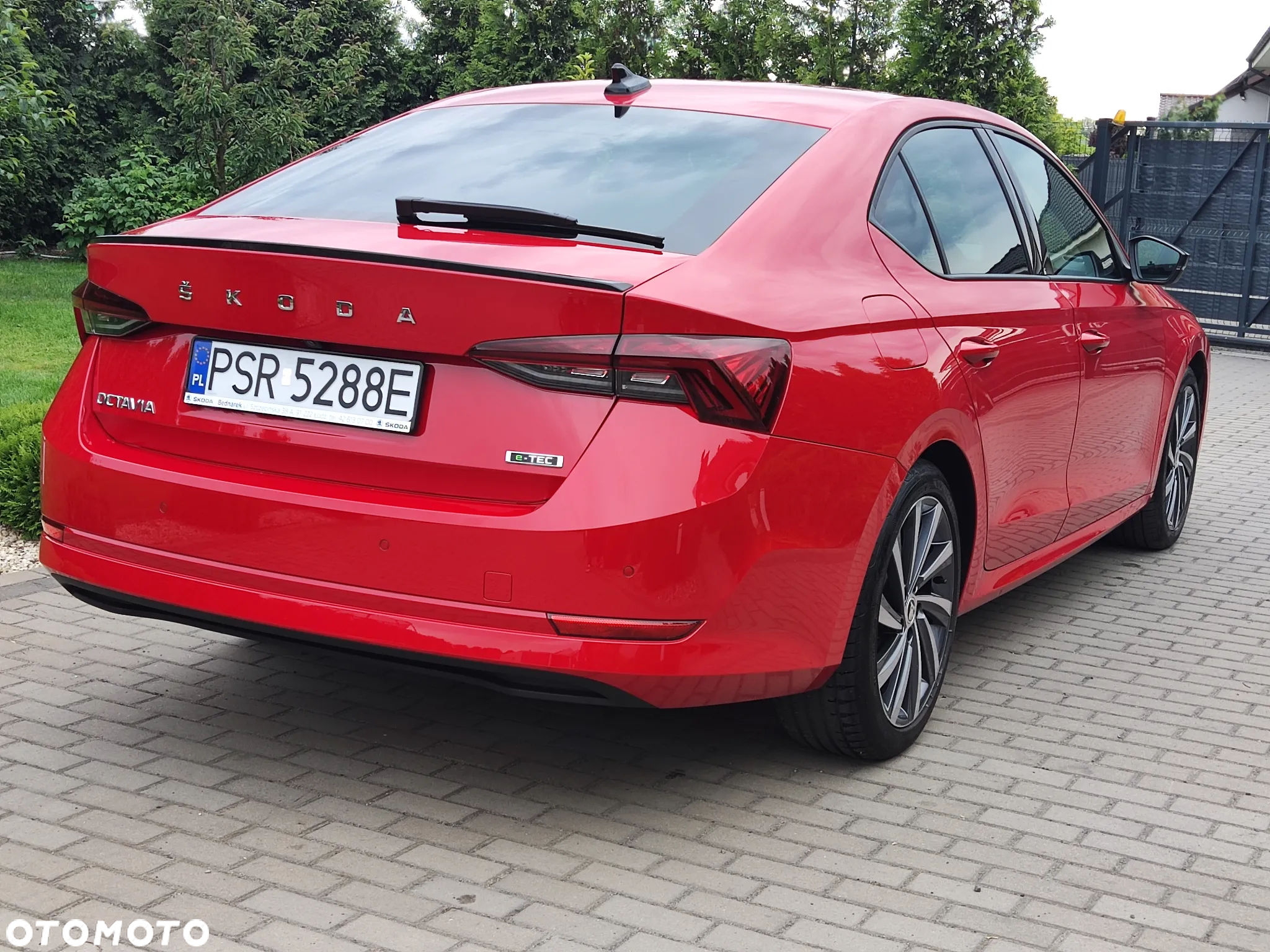 Skoda Octavia - 3
