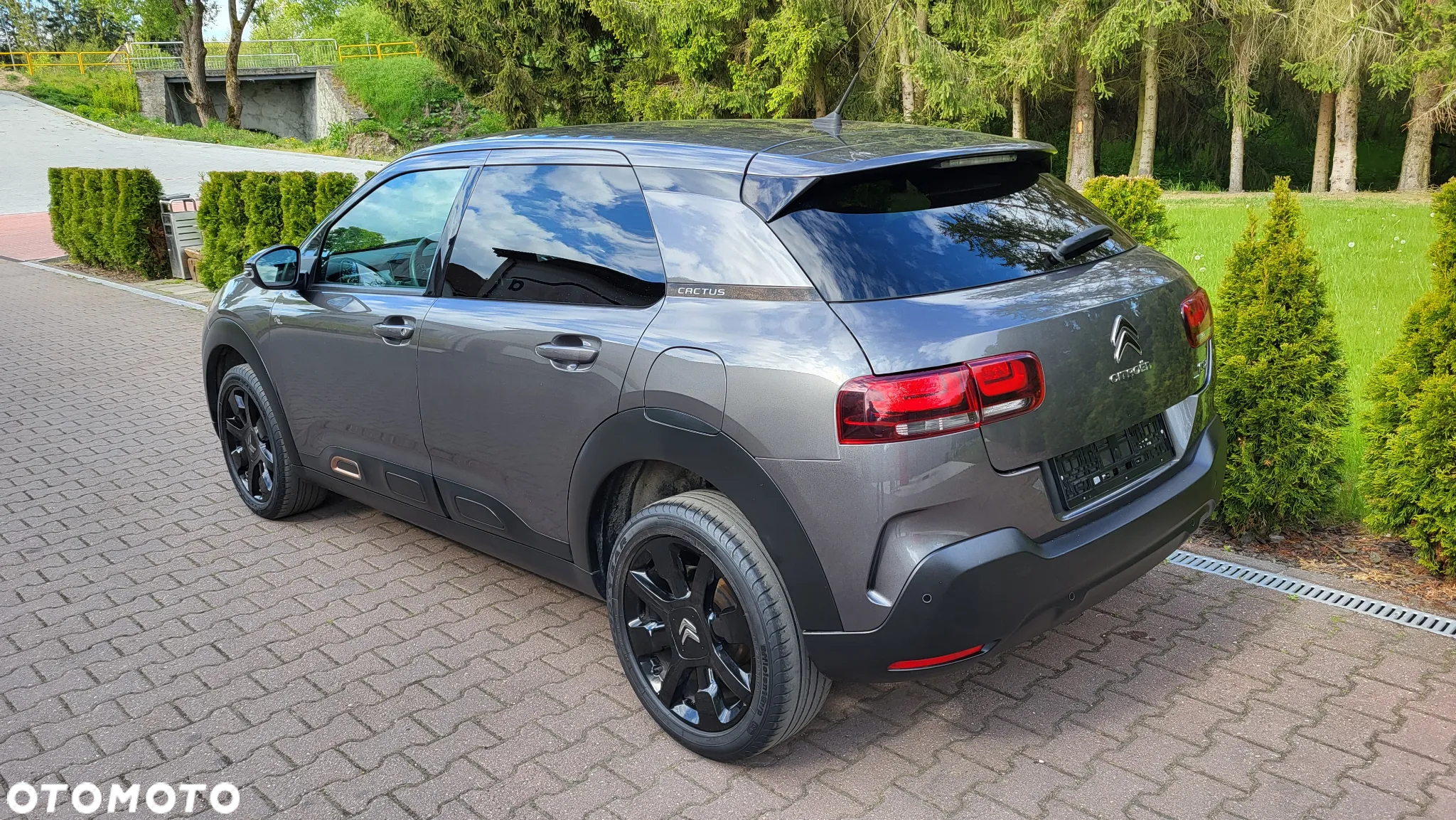 Citroën C4 Cactus 1.2 PureTech Origins S&S - 6