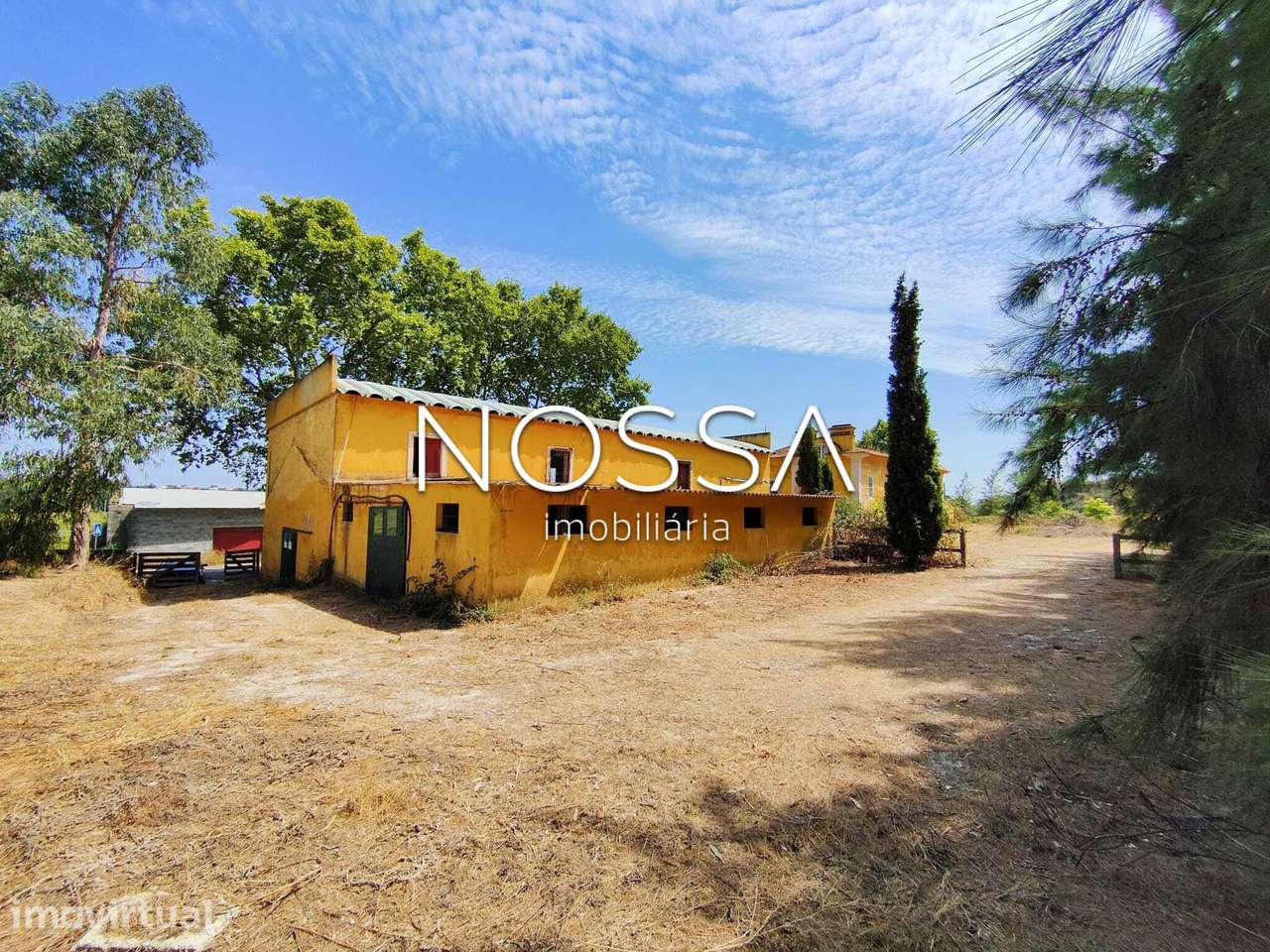 Quinta do Perú, Torres Novas — casa senhorial, antiga adega e 4.000... - Grande imagem: 3/30