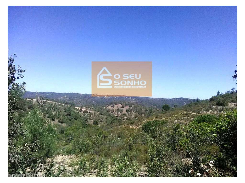 Terreno Rústico no Javali - Grande imagem: 4/6