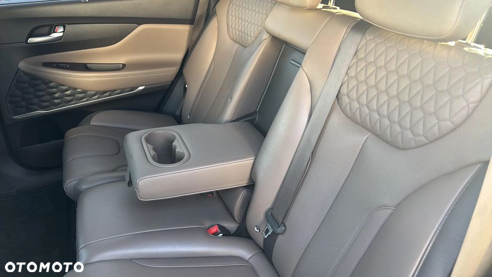Hyundai Santa Fe 2.0 CRDi Platinum 4WD - 21