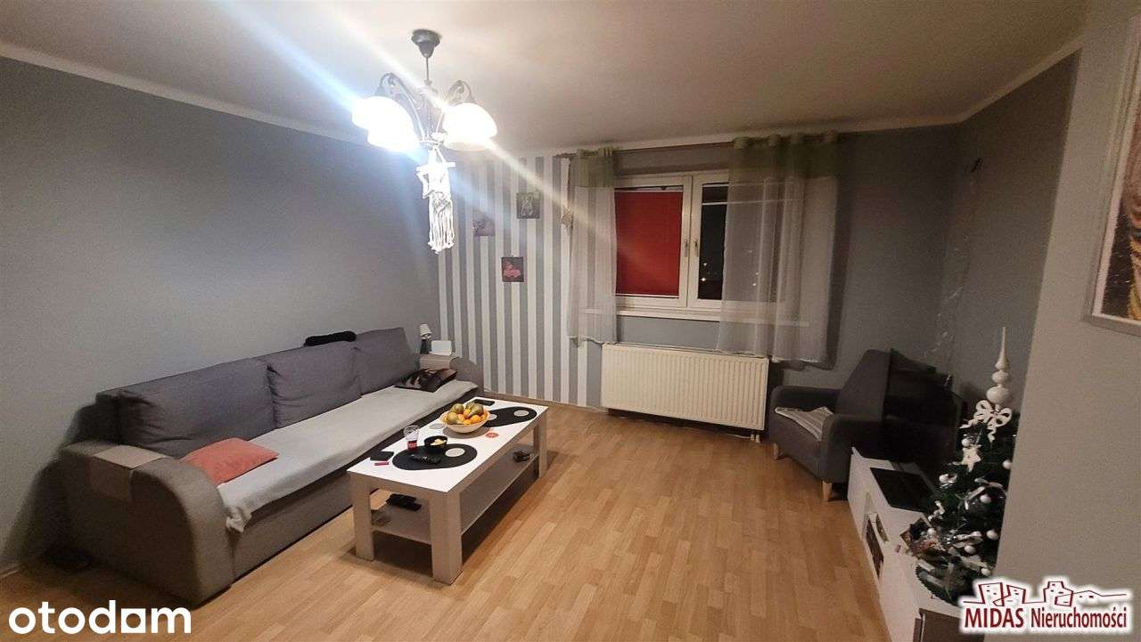 39,36m2, 1 duży pokój, blisko Parku Łokietka!