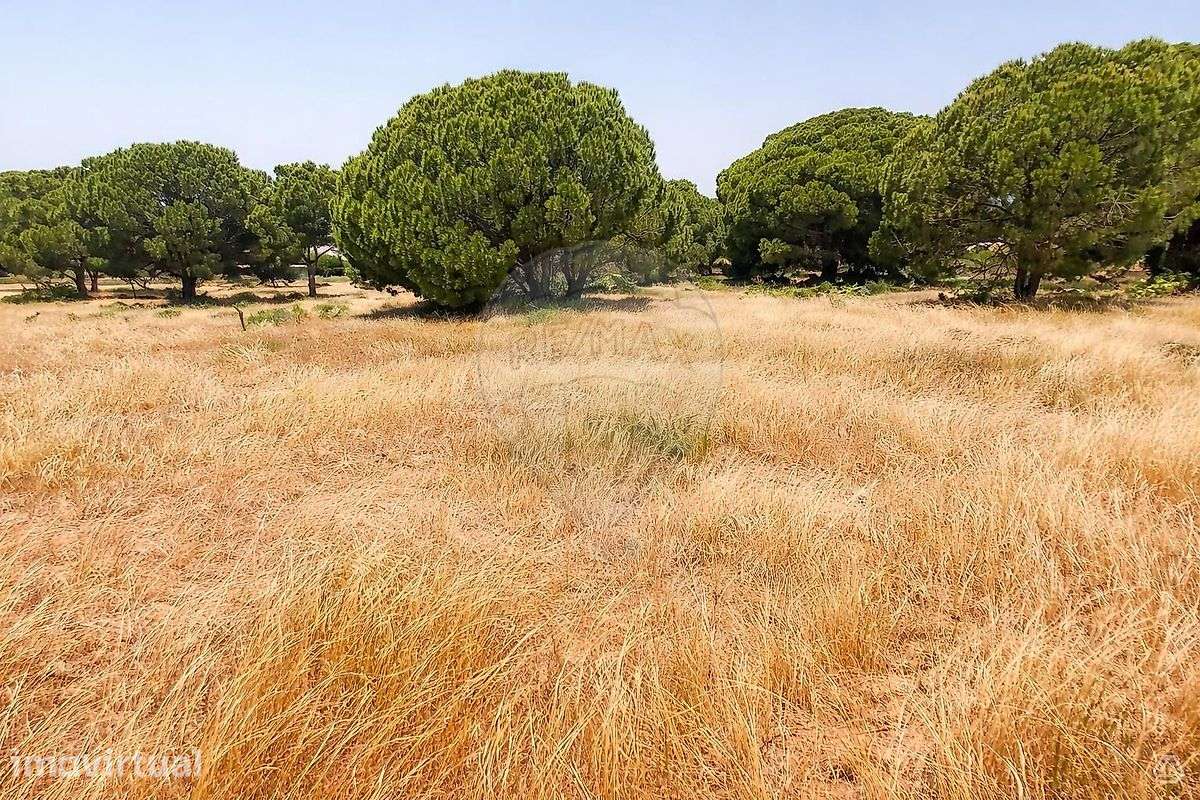 Terreno  para venda - Grande imagem: 2/4