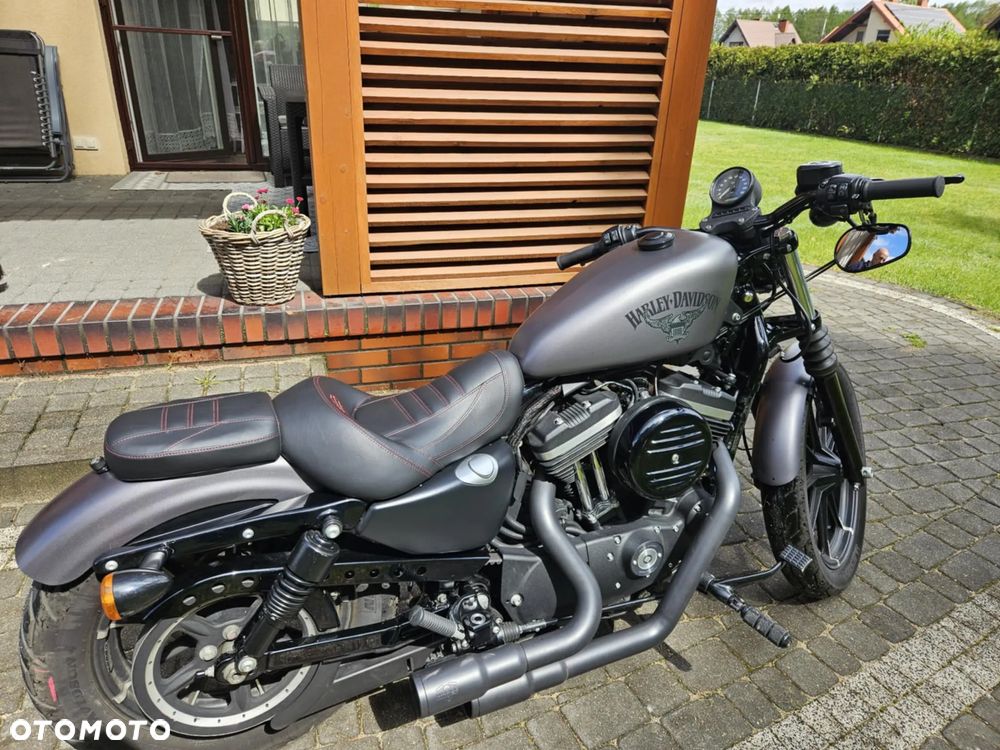 Harley-Davidson Sportster Iron 883 - 3