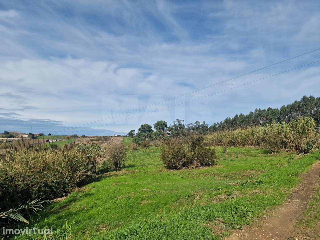 Terreno Rustico - Reinaldes - Grande imagem: 5/10