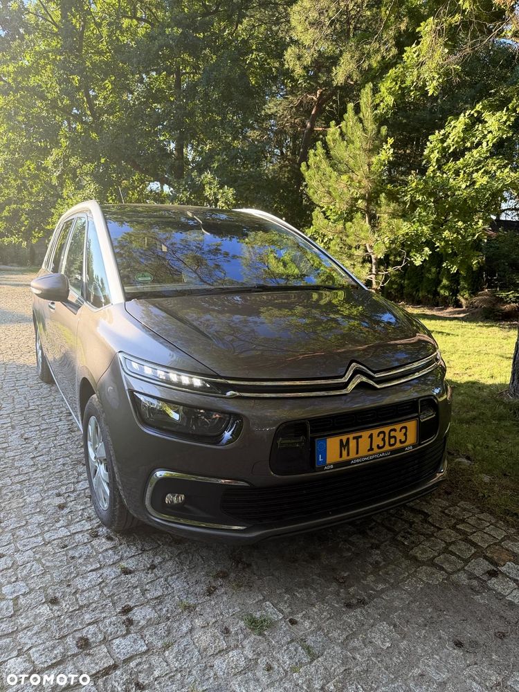 Citroën C4 Grand Picasso BlueHDi 120 Business Class - 1