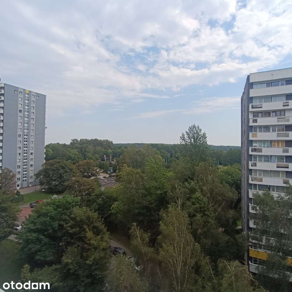Katowice os. Tysiąclecia 2 ustawne pokoje na sprzedaż