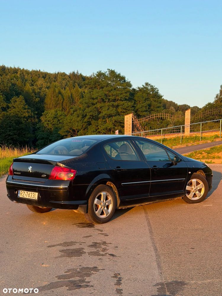 Peugeot 407 - 3