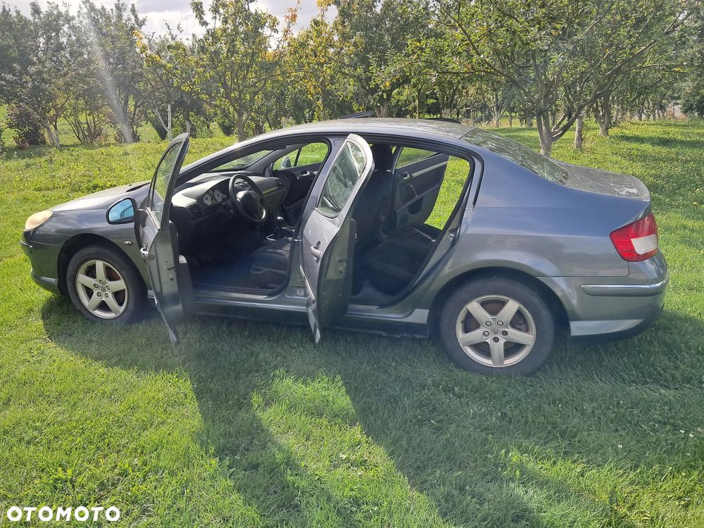 Peugeot 407 - 5