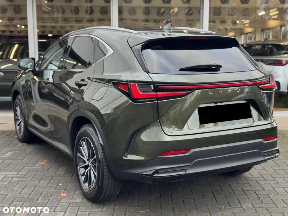 Lexus NX - 6