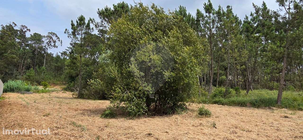 Terreno  para venda - Grande imagem: 4/6