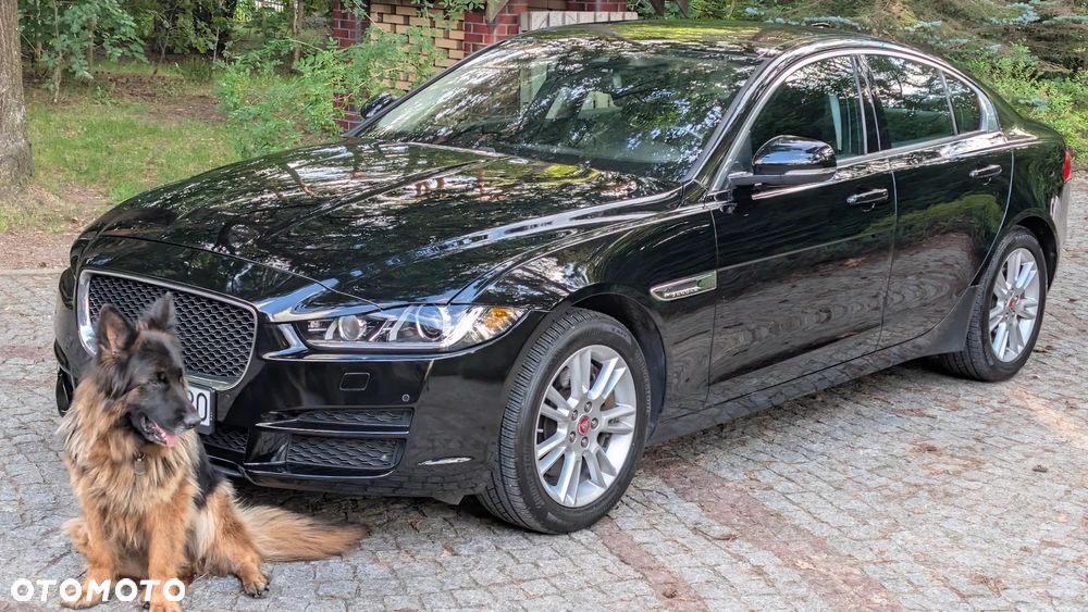 Jaguar Xe