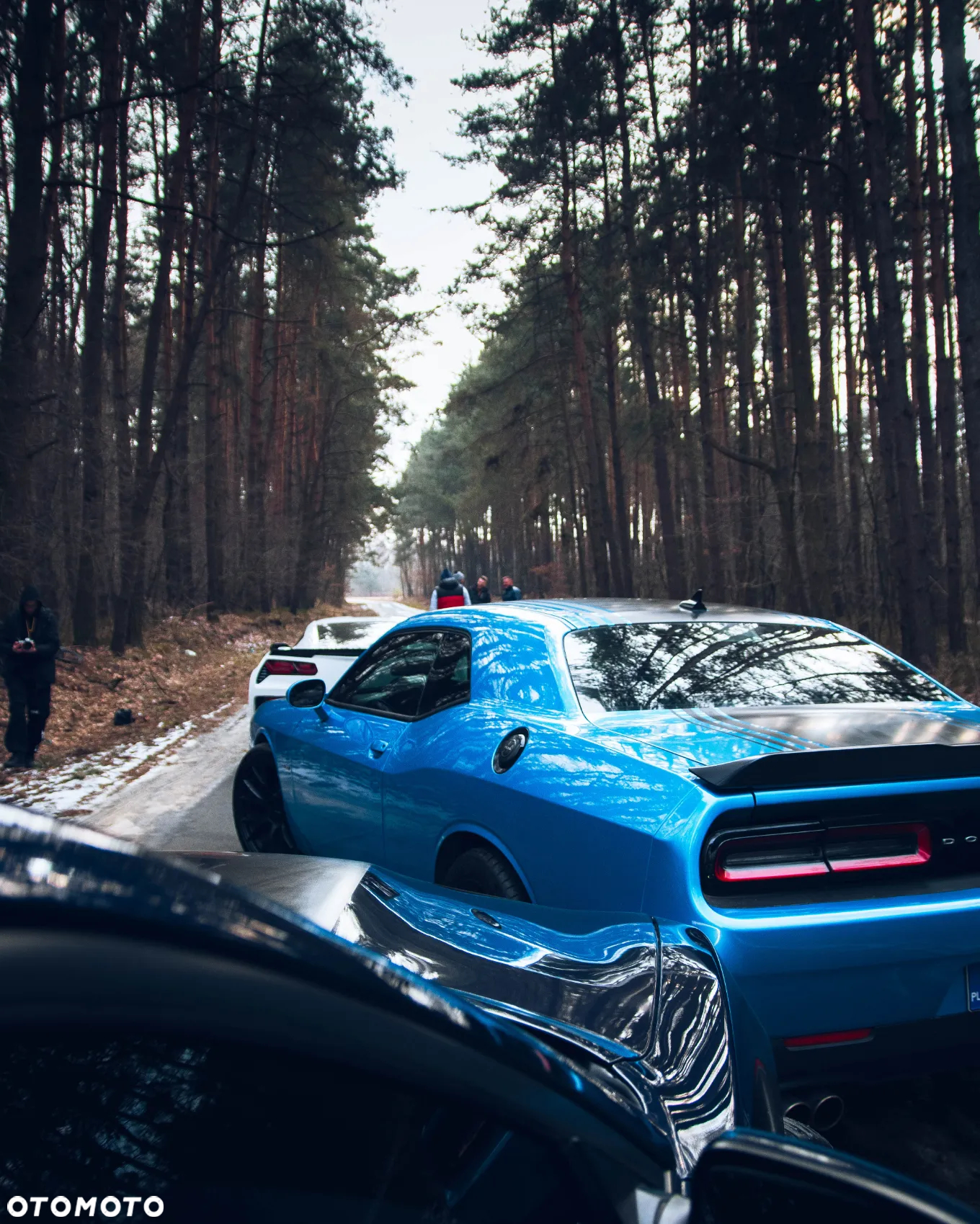 Dodge Challenger Automatik R/T Plus Shaker - 31