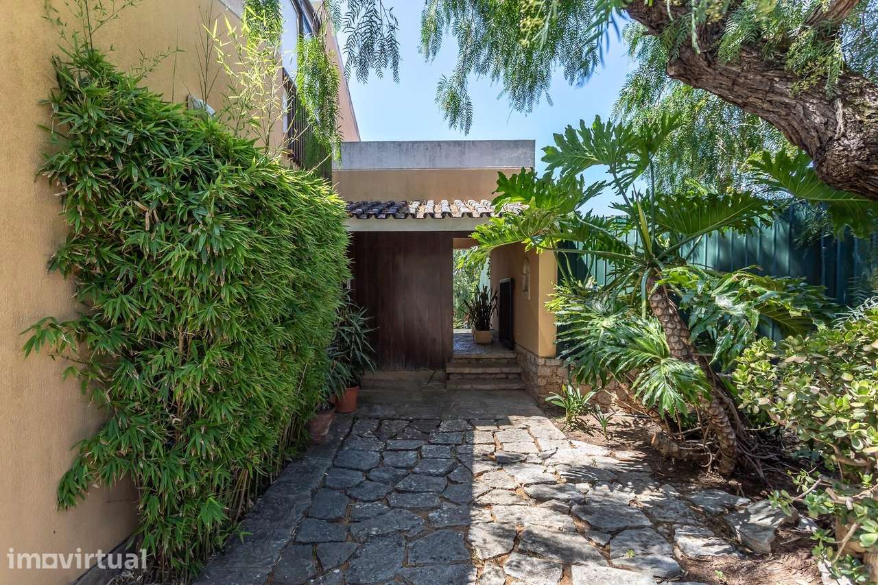 Moradia Familiar T5+2 com Piscina | Lote de 1.160 m2 | Centro de Casca - Grande imagem: 3/60
