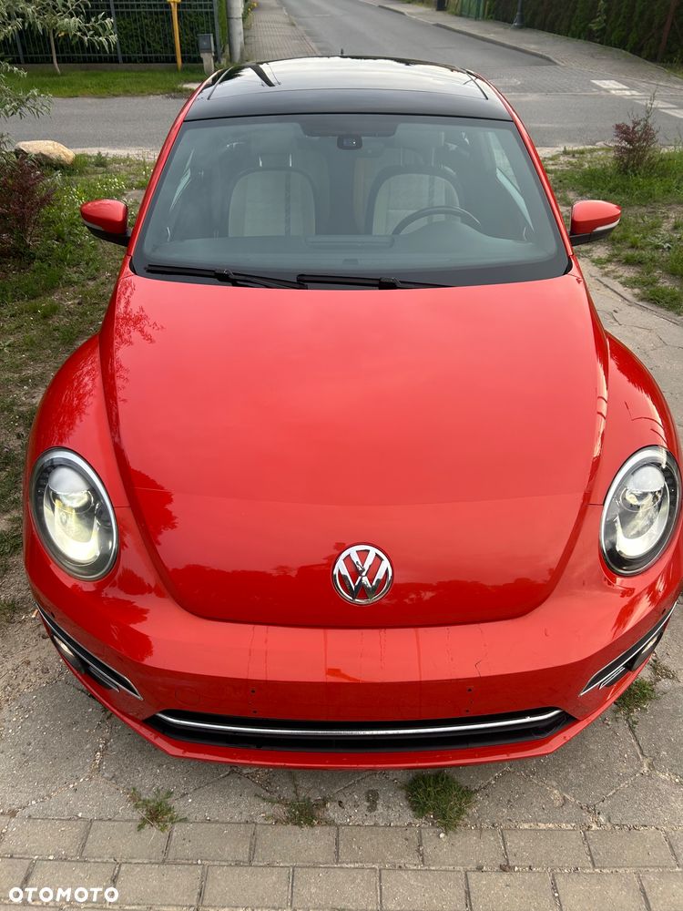Volkswagen Beetle - 28