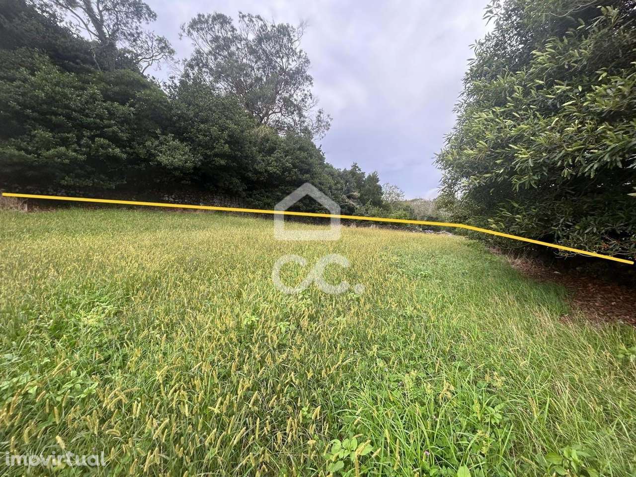 Terreno com 2.400,00m2 - Rosto do Cão(Livramento) - Ponta Delgada - Grande imagem: 3/10