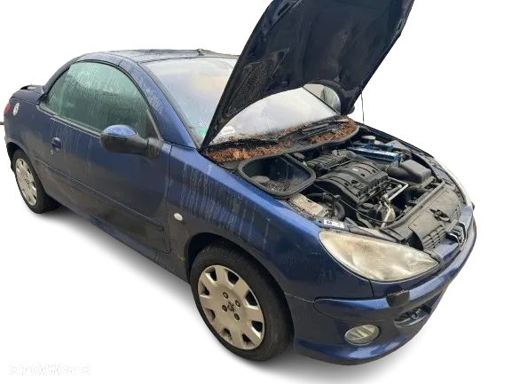 Wszystkie Części do Peugeot 206 CC 1.6 Benzyna | Kolor EGED | Stacja Demontażu Pojazdów - 1