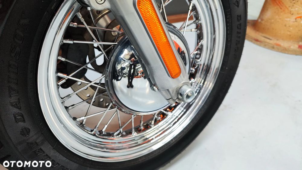 Harley-Davidson Softail Custom - 20