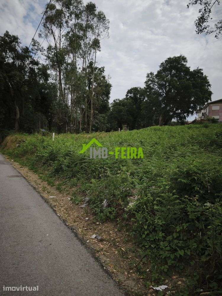 Terreno para Construção, Arrifana - Grande imagem: 5/6
