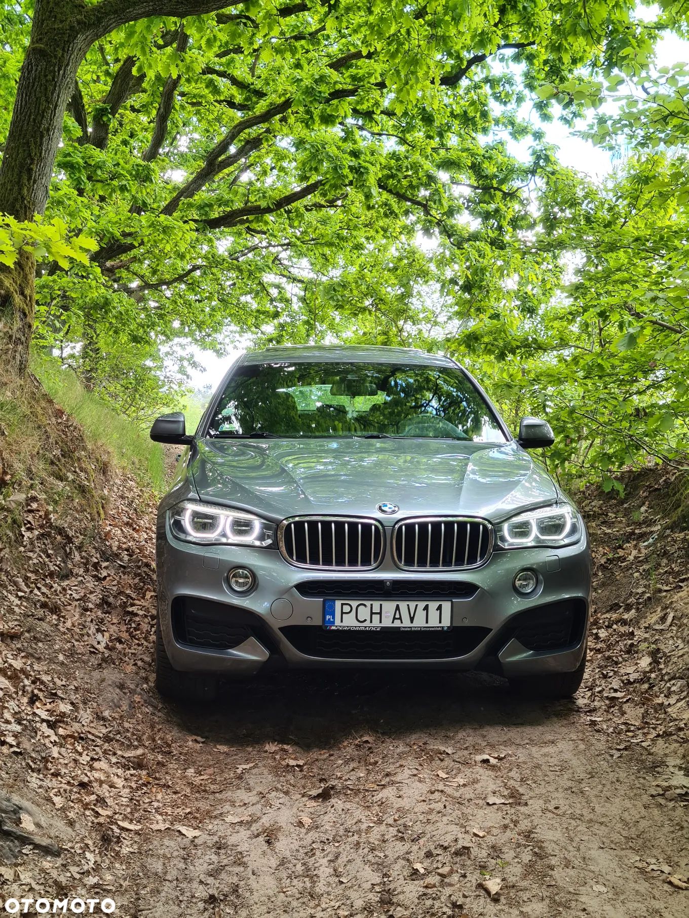 BMW X6 xDrive30d