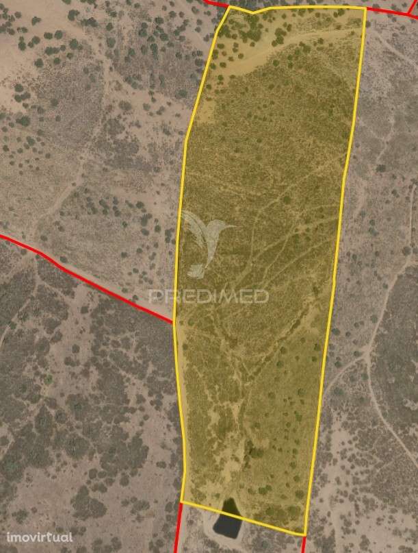 Vende-se Herdade – 34 Hectares - Grande imagem: 4/5