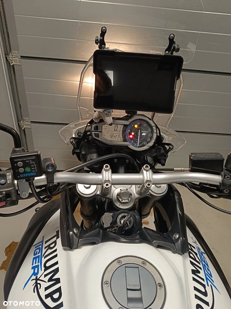 Triumph Tiger - 5