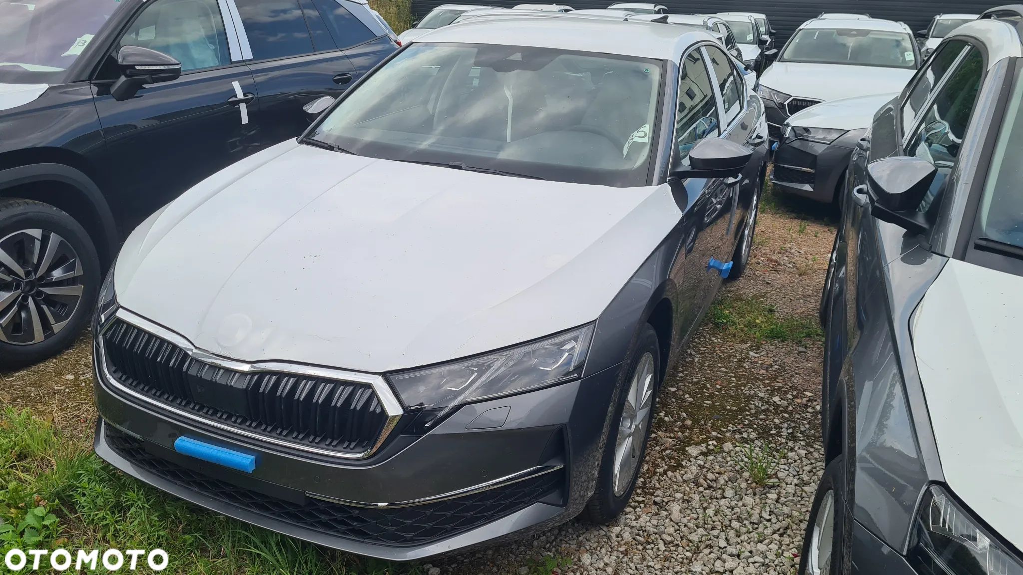 Skoda Octavia - 1